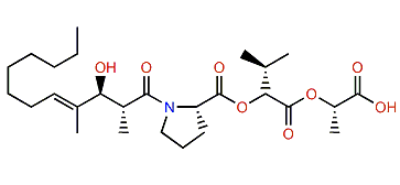 Tumonoic acid C